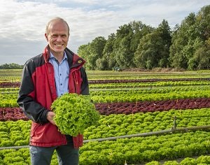 rijk zwaan lechuga resistencia mildiu_jair_and_johan