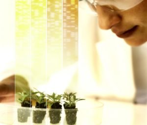 Grants4Ag