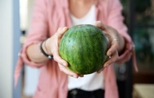 HAZERA Mini seedless watermelons