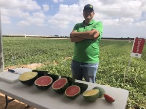 RIJK ZWAAN CED LA PALMA Bernardo Cuenca