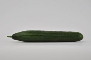 seminis