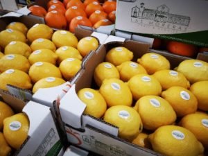 Las Moreras Fruit & Veggies