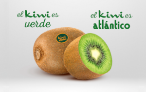 KiwiAtlanticoVerde
