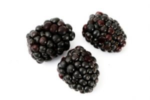 moras