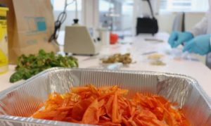bioplasticos