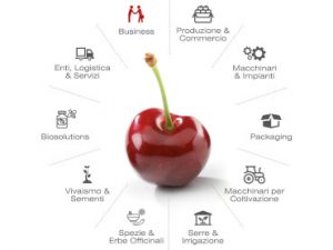 macfrut
