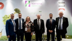 hortiberia