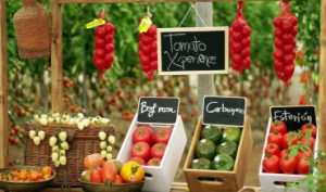 Tomato Experience Fito