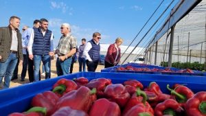 murcia consejero luengo pimiento