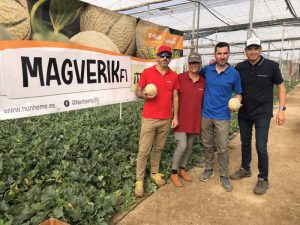BASF Magverik melón cantaloup