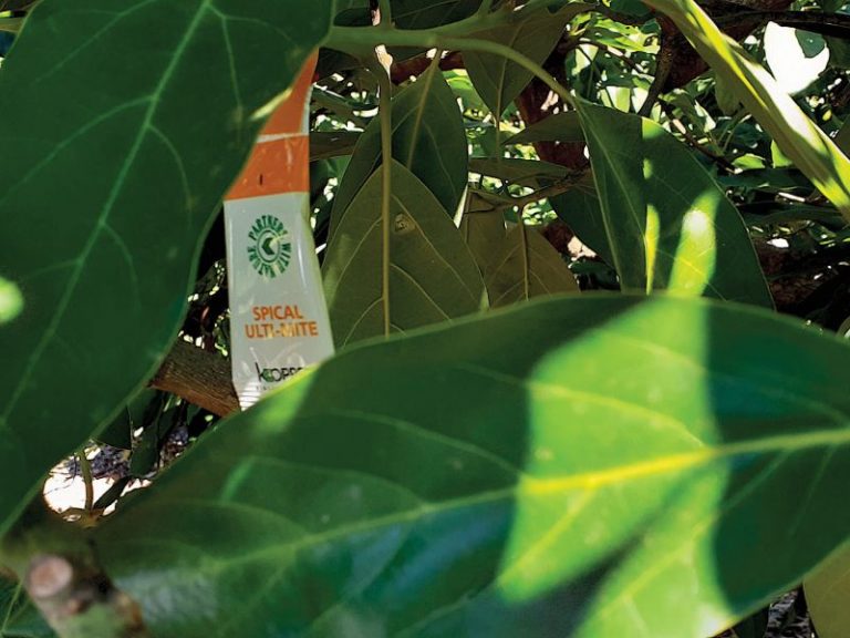 KOPPERT spical aguacate