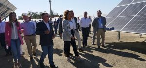 planta-fotovoltaica-moguer