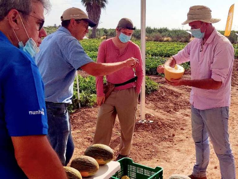 basf melon watermelon days 2021