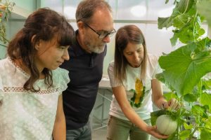 melon irta