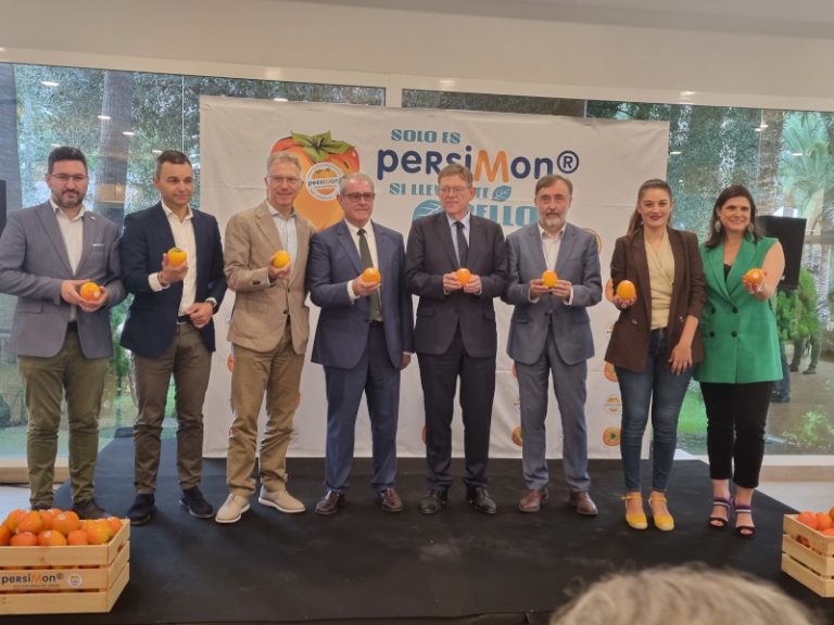 autoridades kaki