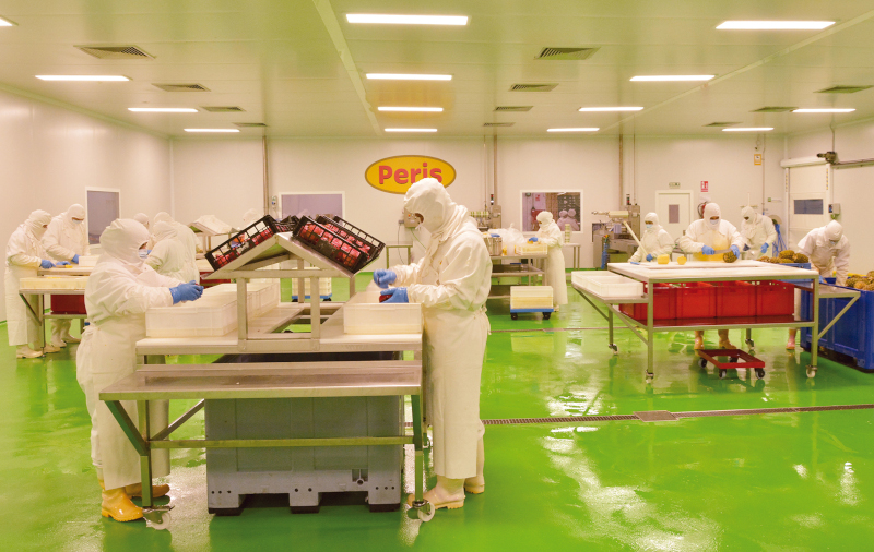 sala-blanca-iv-gama-vicente-peris