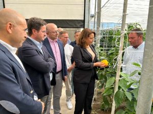 DemoFarm presentacion el ejido carmen crespo