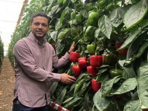 SYNGENTA Pimiento Bokken José Vázquez, técnico comercial