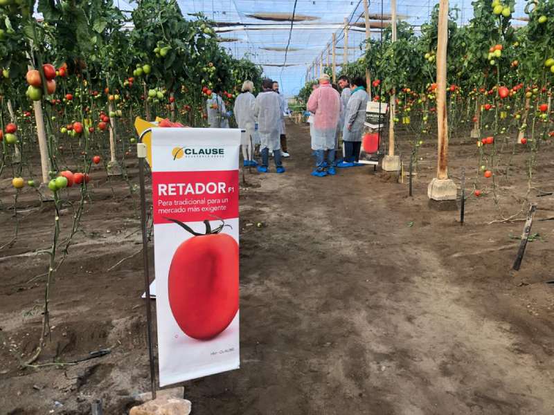 clause jornadas finca vitrina alquian tomate
