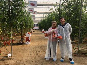 rijk zwaan jornada tomate_mmar gimeno y manuel hernandez