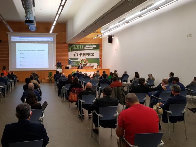 ASAMBLEA FEPEX ALMERIA