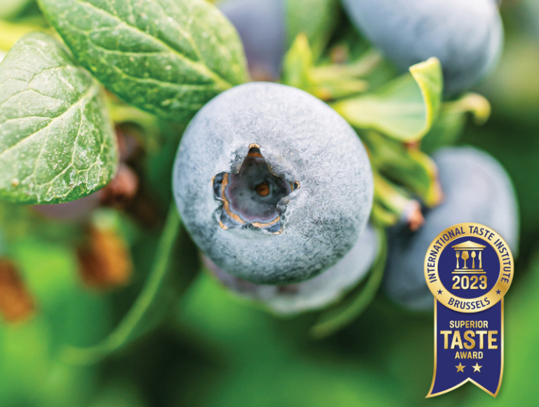 Eureka Sunrise award visual