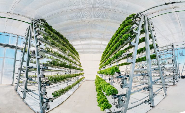 novagric vertical farming