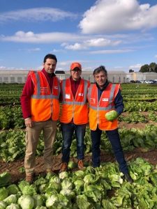 EQUIPO BASF NUNHEMS LECHUGA