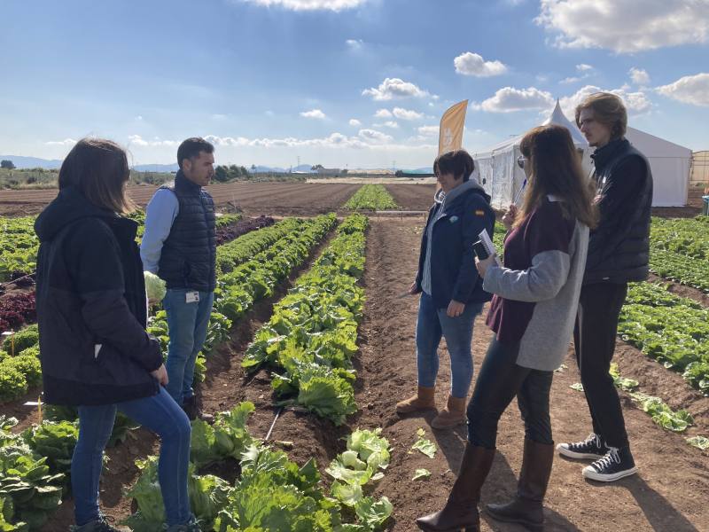 nunhems basf demo salads
