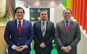 task force latino americana
