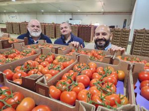 vegacañada grupo agroponiente