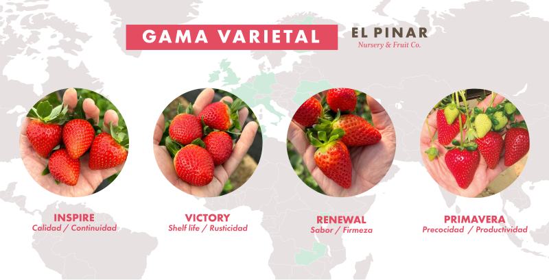 gama_varietal_horiz