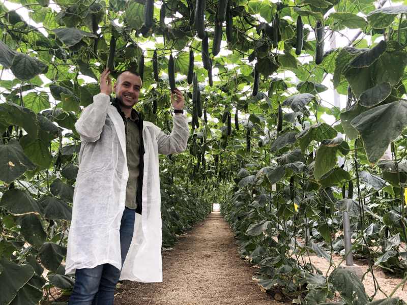 manuel pozo rijk zwaan jornada pepino abysal y vortice rz