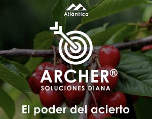 ElPoderdelAcierto