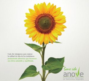 Imagen girasol NdP Día Internacional de la semilla