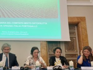 Comite Mixto FyH en Roma