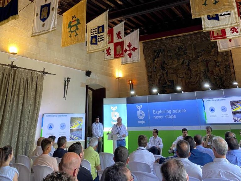 Bejo jornada cebolla Castillo de Almodóvar del Río