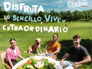 cricket campaña verano