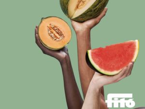 semillas fito melon show