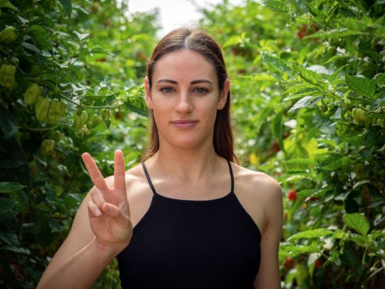 unica campaña centennials