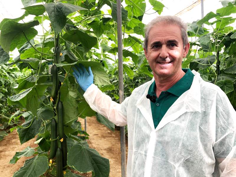 Antonio Manuel Alonso Especialista de Pepino en BASF con la variedad Calado