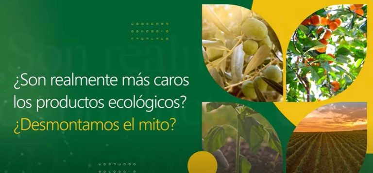 caecv