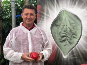 Baiao RZ pimiento rijk zwaan jose luis ruiperez