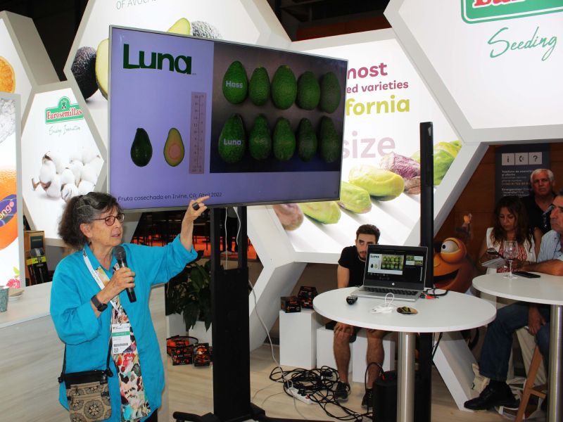 Charla aguacate Luna Eurosemillas