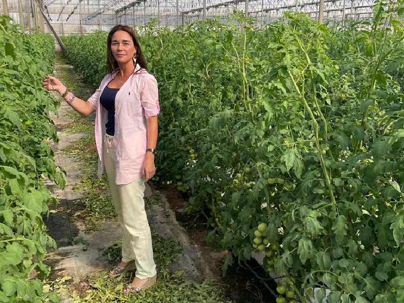 Ecoculture cambios temperatura cultivo invernadero