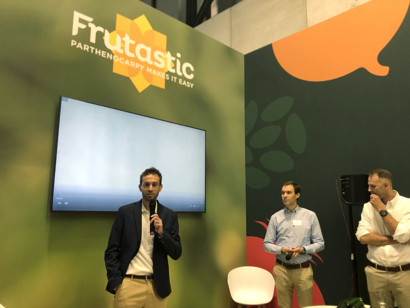 GAUTIER FRUTASTIC FRUIT ATTRACTION