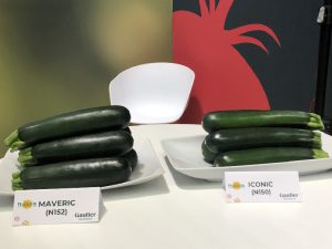 GAUTIER FRUTASTIC Maveric e Iconic