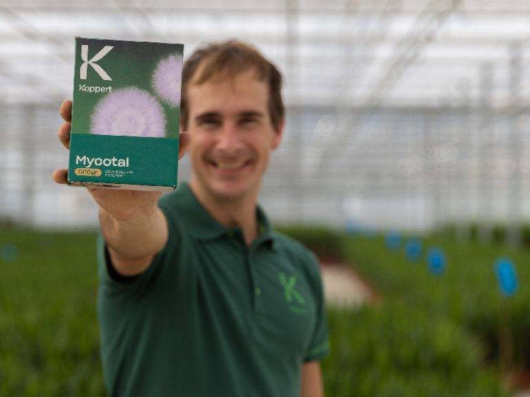 KOPPERT Mycotal es un biosinsecticida 100% natural y autorizado para agricultura ecológica