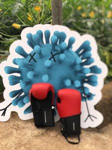 Sakata calabacín kai