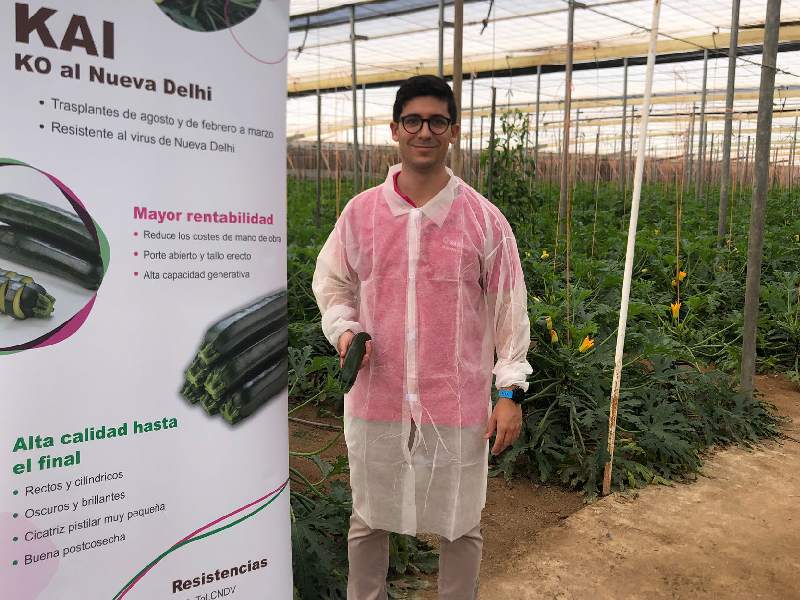 Sakata jornada calabacín kai